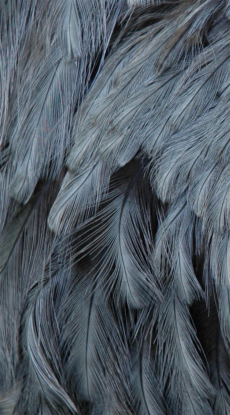 Green MNKY Grey Feathers (VPE 3)