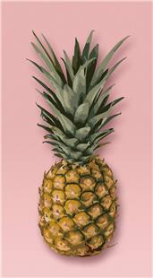 Green MNKY Pink Ananas Backfilm (Design) (VPE 3)