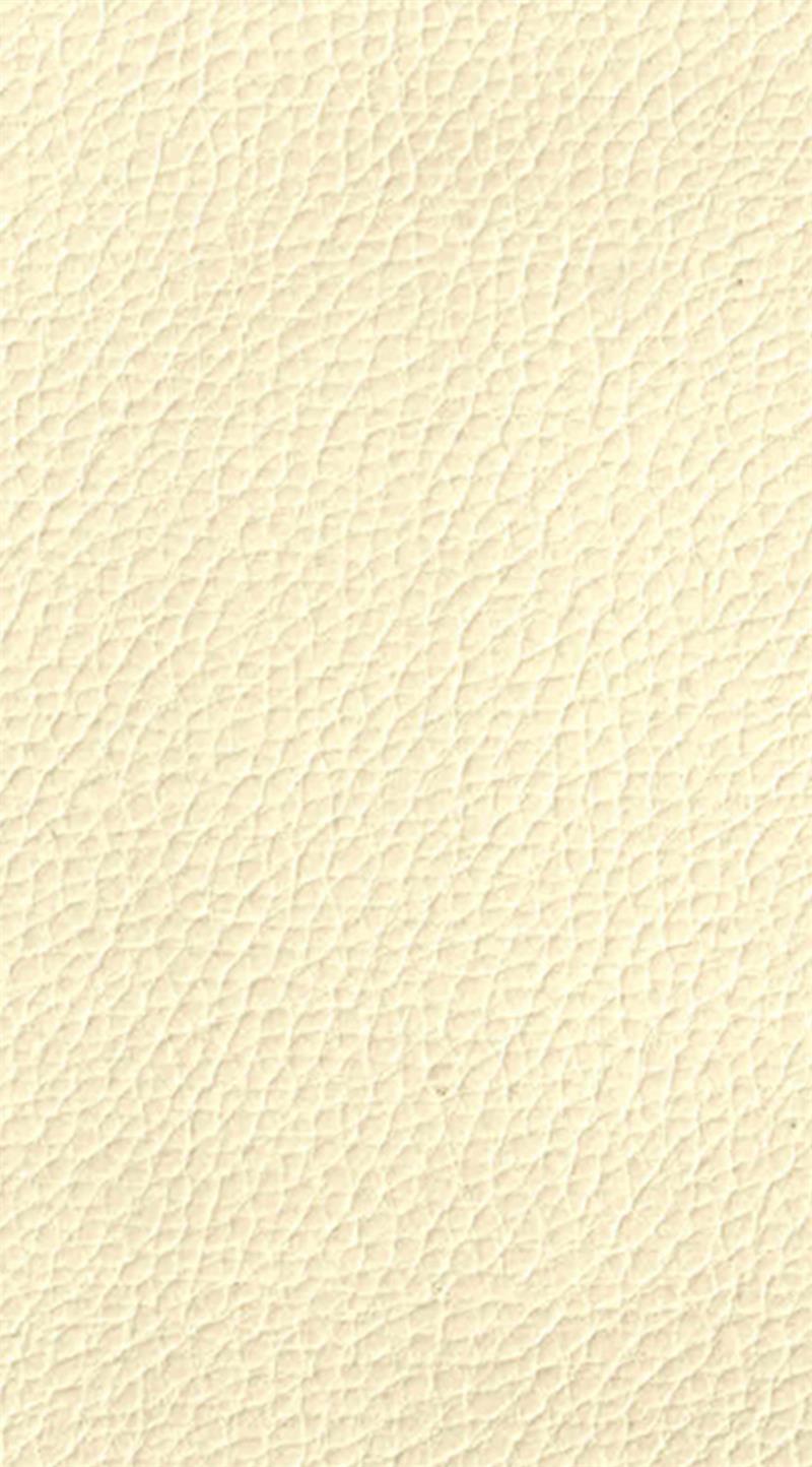 Green MNKY Lederoptik White (VPE 3)