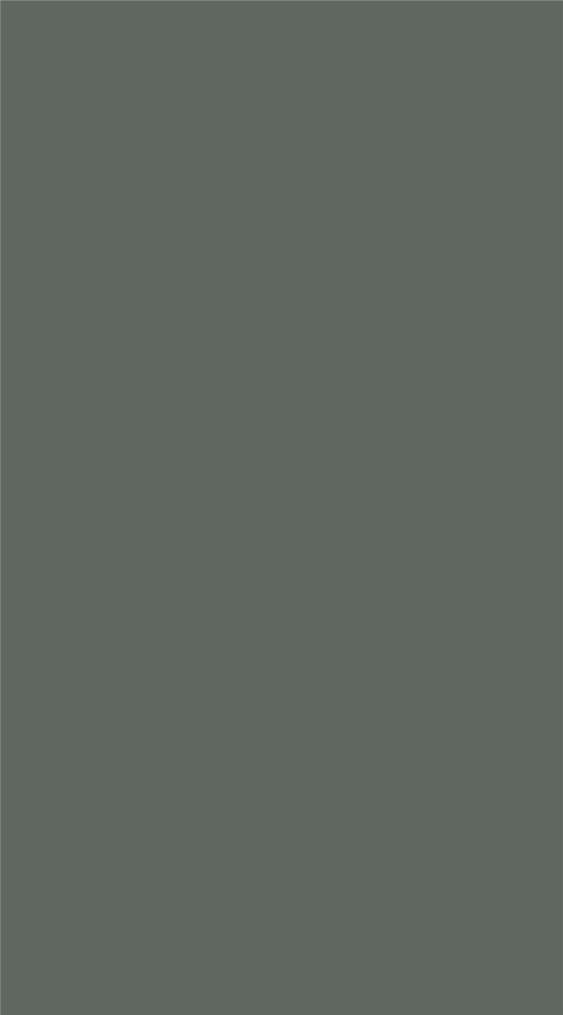Green MNKY Lovely Grey (VPE 3)
