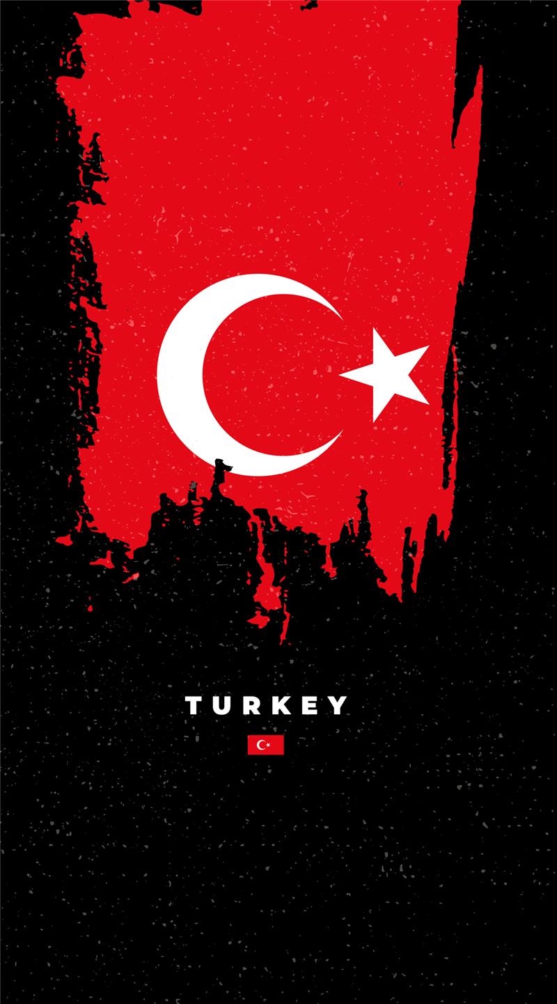 Green MNKY Turkey Flag (VPE 3)
