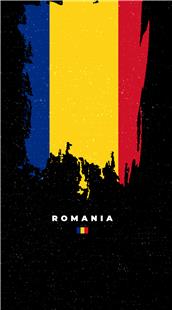 Green MNKY Romania Flag (VPE 3)