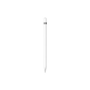 Apple Pencil 1. Generation inkl. Adapter USB-C auf Lightning