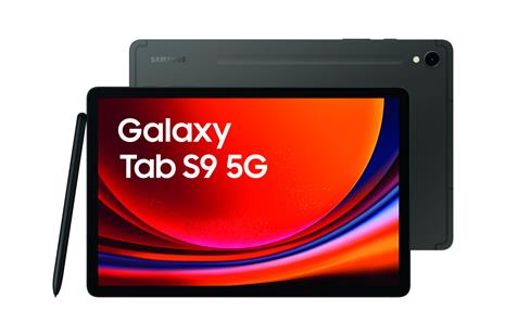 Samsung Galaxy Tab S9 5G 128 GB - Gray