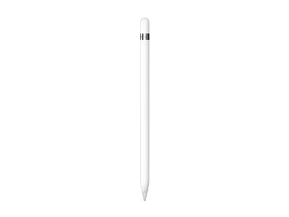 Apple Pencil 1. Generation inkl. Adapter USB-C auf Lightning