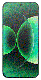 Xiaomi 17 512 GB - Venture Green