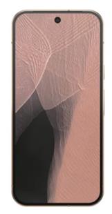 Google Pixel 11 Pro 256 GB - Canyon