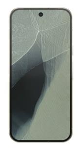 Google Pixel 11 Pro 256 GB - Olive