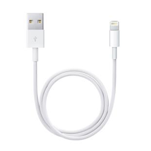 Apple Lightning to USB Cable 0.5 m 