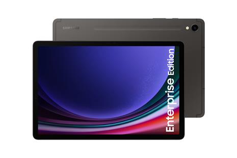 Samsung Galaxy Tab S9 FE Enterprise 128 GB - Gray
